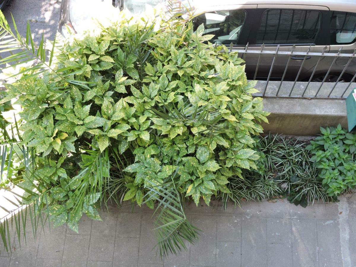 Nice/Nizza : Apartment ภายนอก รูปภาพ